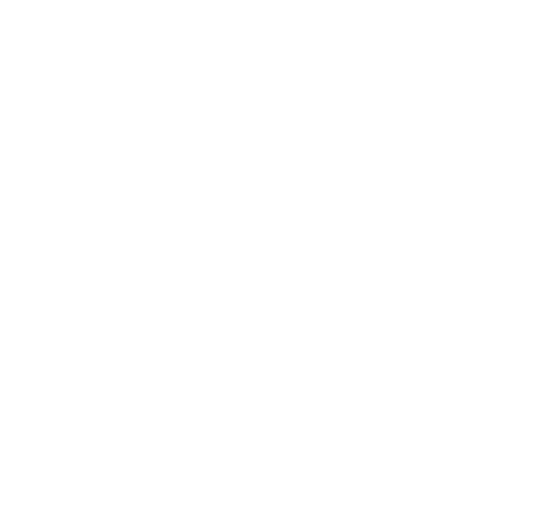 Deloitte wit logo